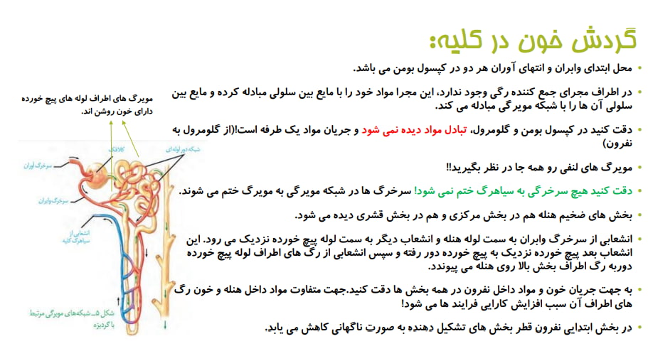 فصل تنظیم اسمزی : نکات متن و تصویر - هاجر سلیمانی