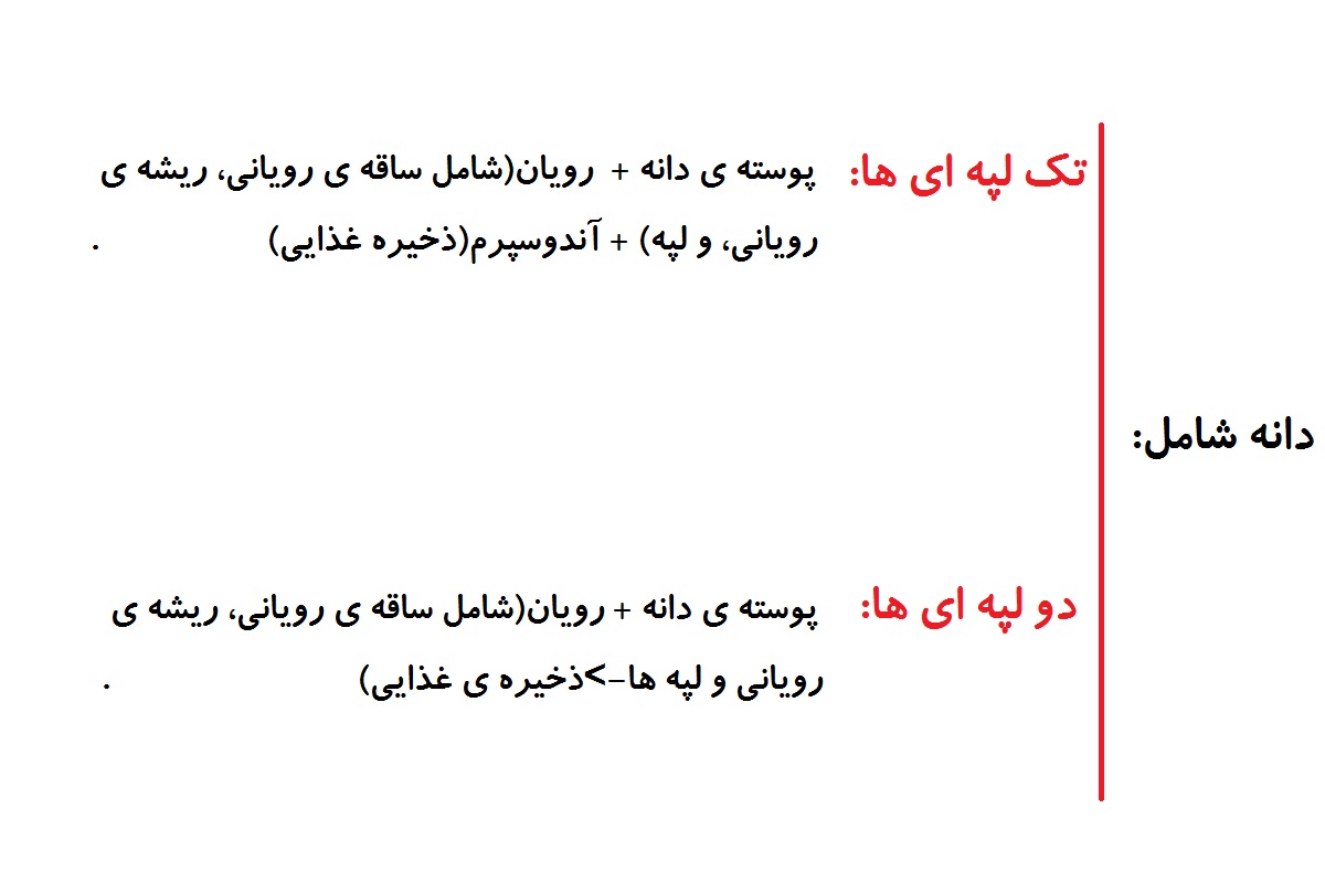از یاخته تخم تا گیاه -زیست -درسنامه+انیمیشن+تست -مهدی خداوندلو
