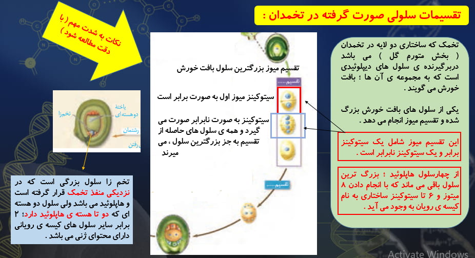 تولیدمثل نهاندانگان- زیست - نکات و 3کنکور - ملیکا کلانتری