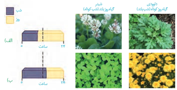 پاسخ به محیط - زیست - درسنامه+انیمیشن+تست - مهدی خداوندلو 1/2