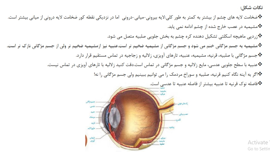 حواس ویژه - زیست 2 - جزوه و فیلم آموزشی - هاجر سلیمانی