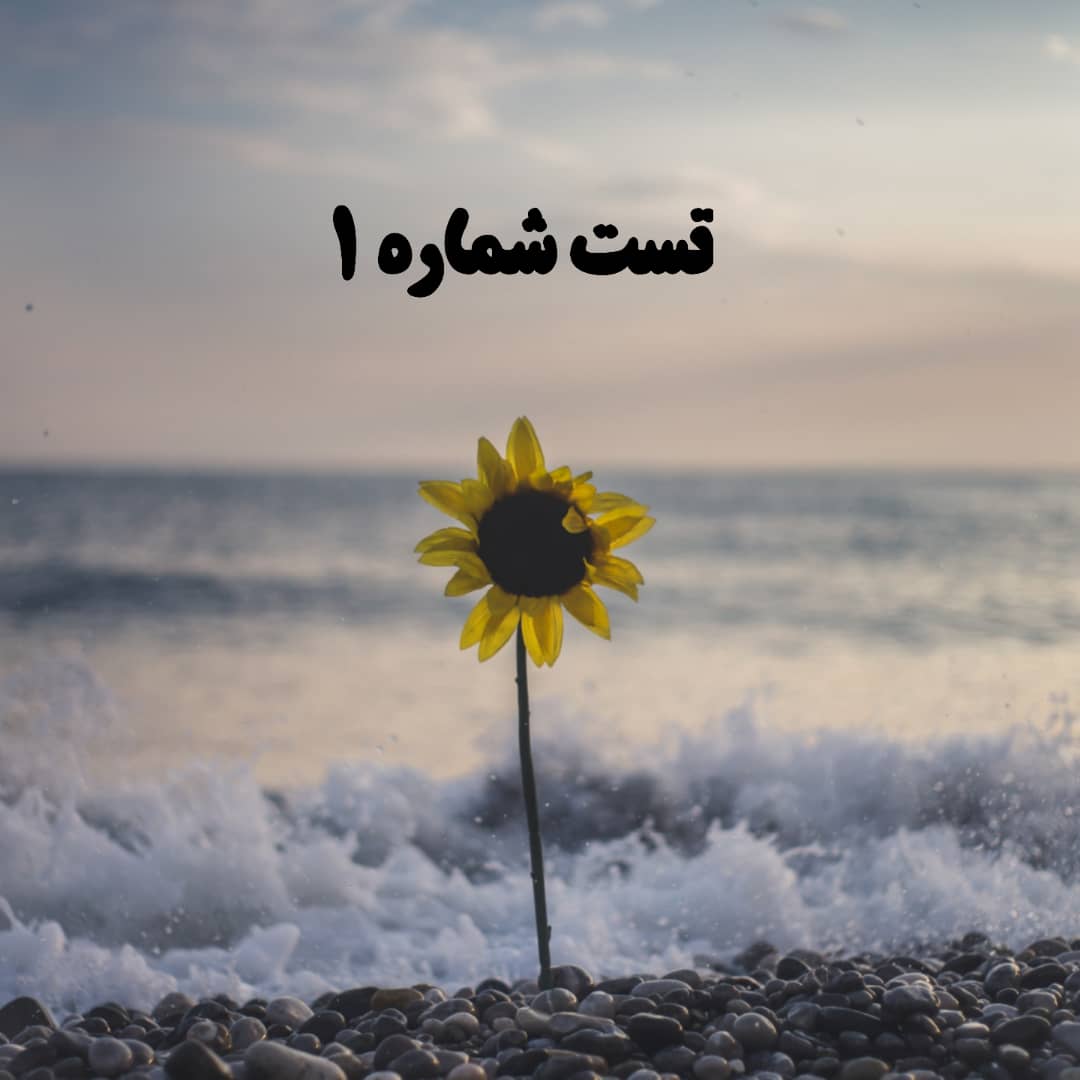 آرایه و عروض - علوم و فنون دهم - تست مروری - فاطمه گزدرازی