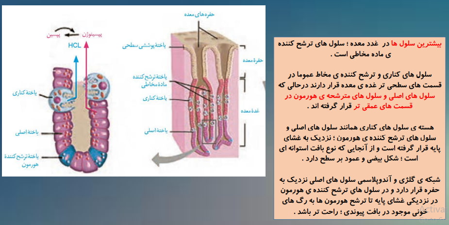 صفحه ی 11 جزوه 