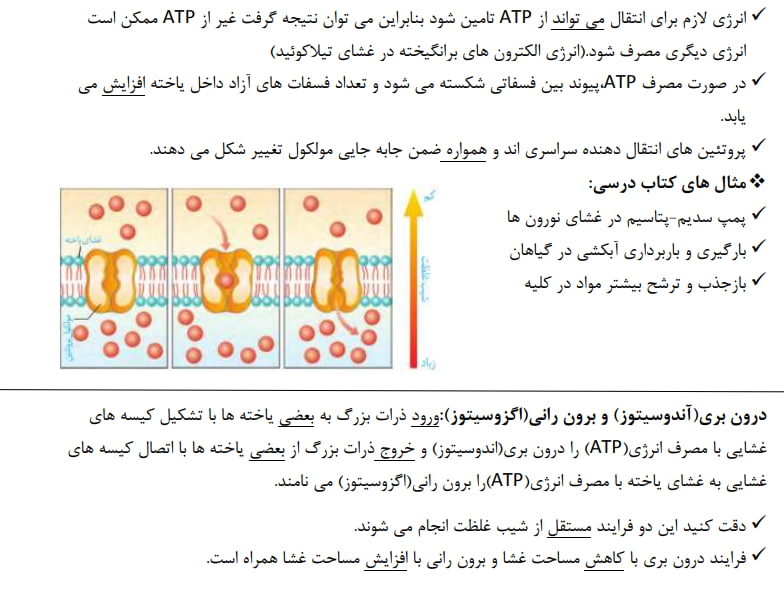 گوارش و جذب مواد - روشهای عبور مواد از غشا - امیرحسین برهانی