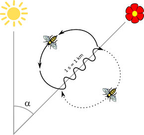 هوش مصنوعی-الگوریتم کلونی زنبور عسل-ابراهیم خلیلی