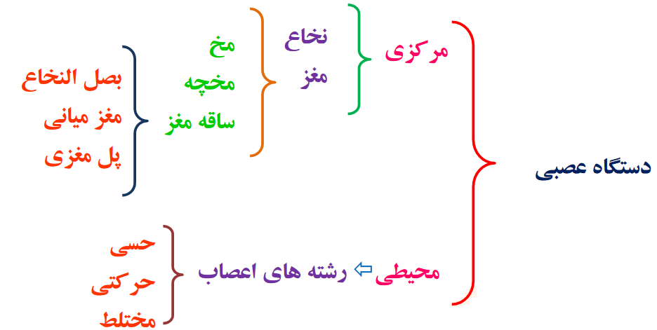 علوم هشتم فصل چهارم- درسنامه کامل تصویری + تست - علی اشرفپور
