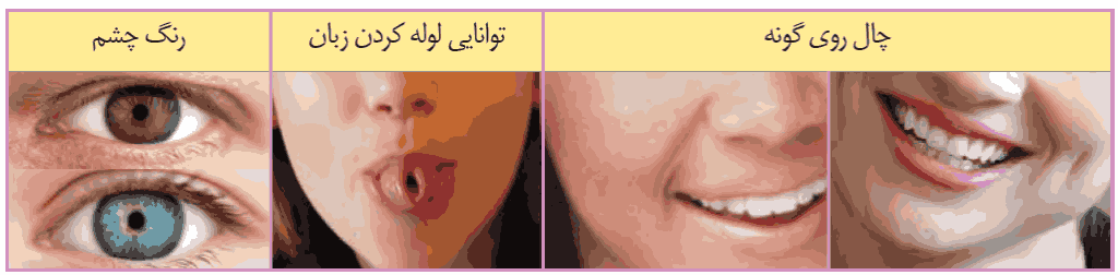 علوم هشتم فصل هفتم- درسنامه کامل تصویری + تست - علی اشرفپور