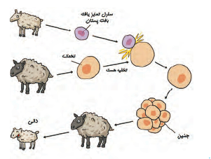 علوم هشتم فصل هشتم- درسنامه کامل تصویری + تست - علی اشرفپور