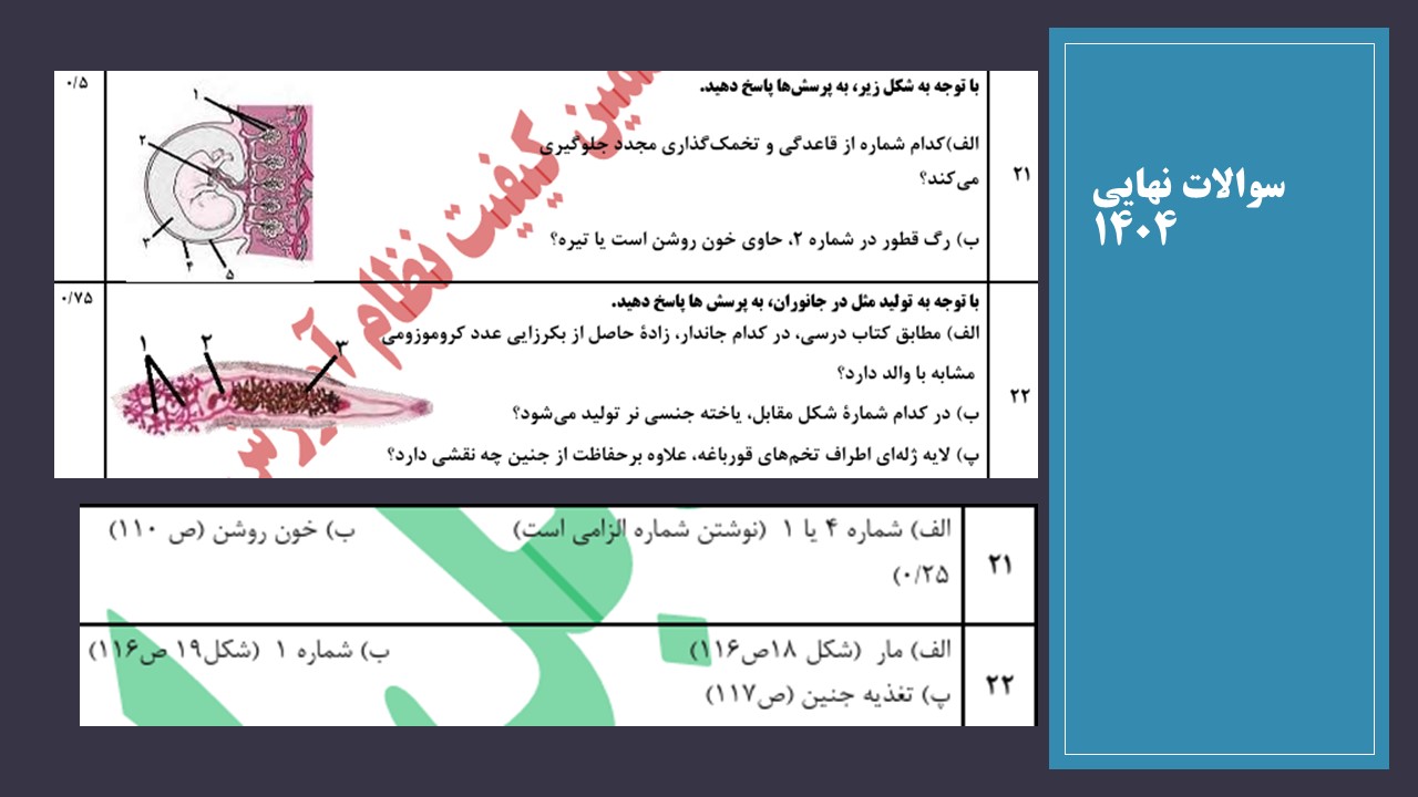 تولیدمثل(گفتار‌های 3و 4) - زیست 2- تست +درسنامه - پریسا ابراهیمی