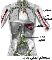 سيستم ايمني بدن