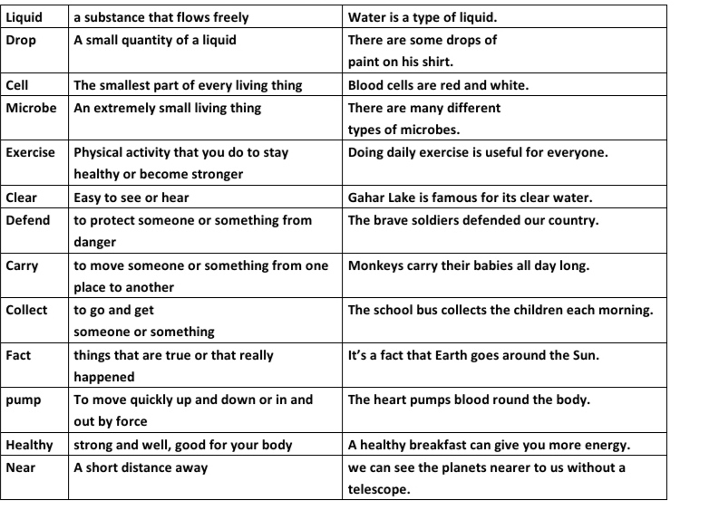 درسنامه درس دوم(wonders of creation)_زبان دهم_سارا معصوم زاده