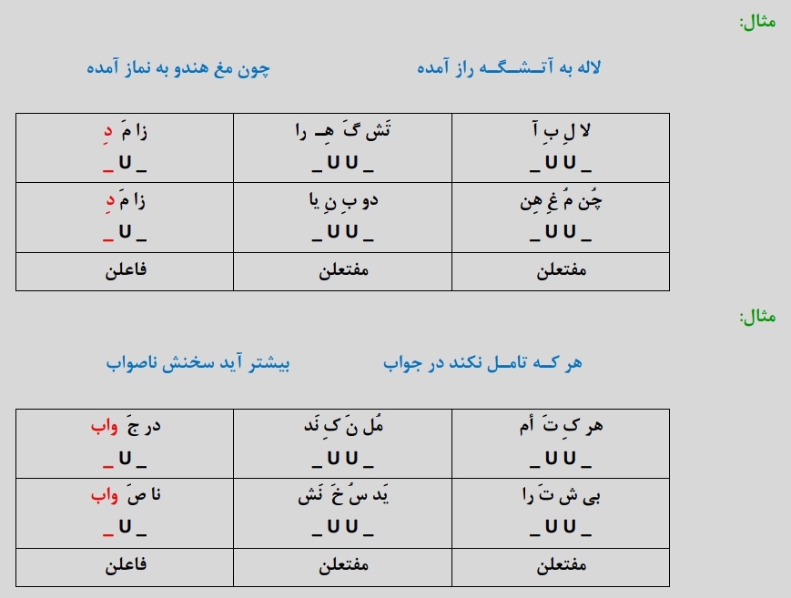 اختیارات وزنی–علوم و فنون دوازدهم–آرمین عبدالحسینی