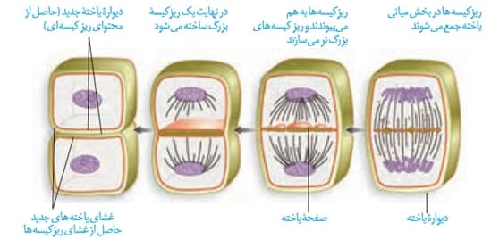 صفر تا صد تقسیم یاخته2-زیست کنکور-محمدمهدی مقصودی