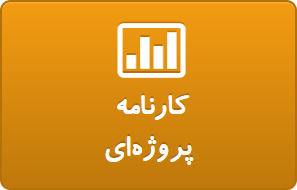 کارنامه پروژه ای