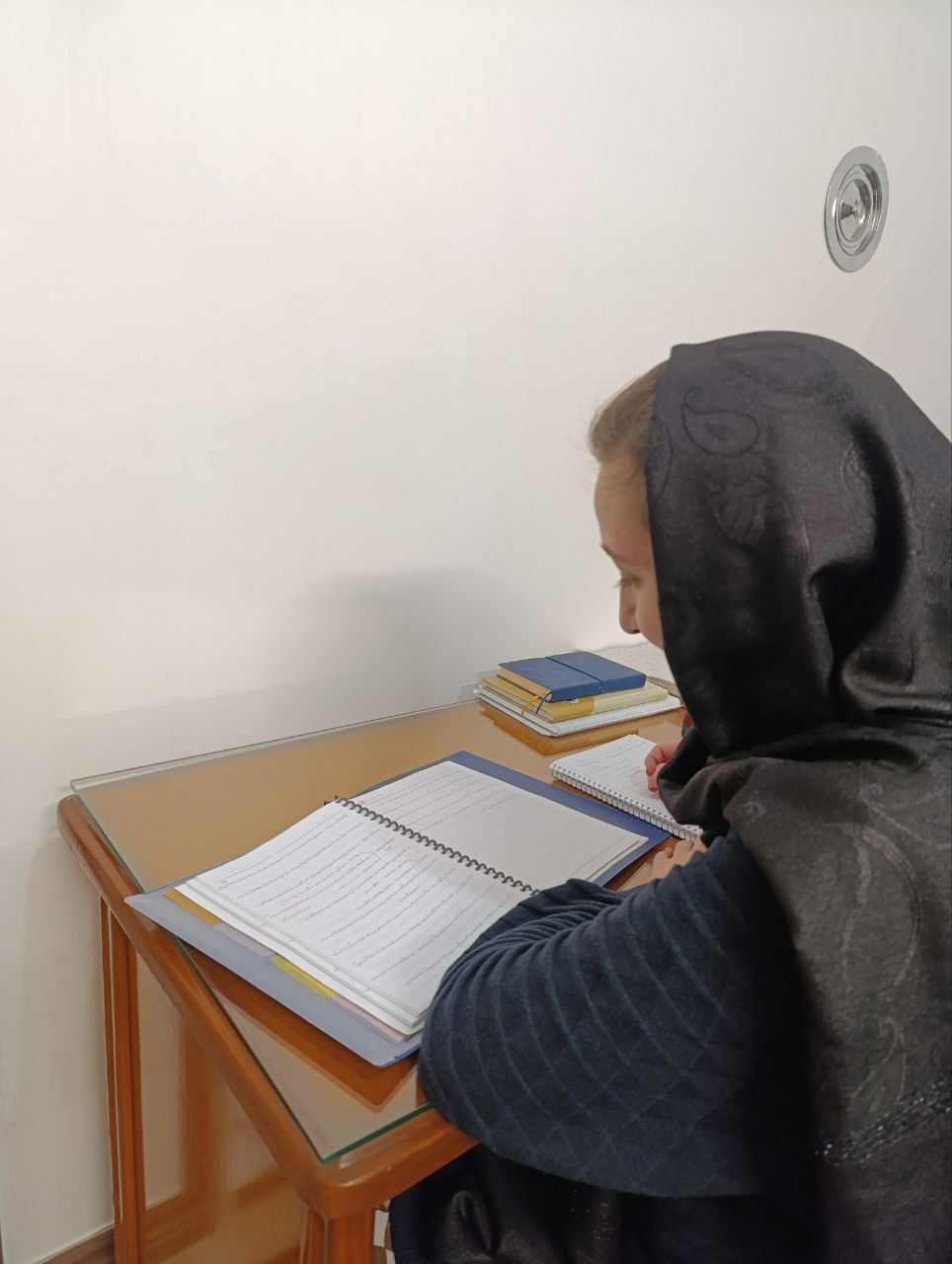 گفت و گو با النا مال اندیش قهرمان تابستان از شهر مرند