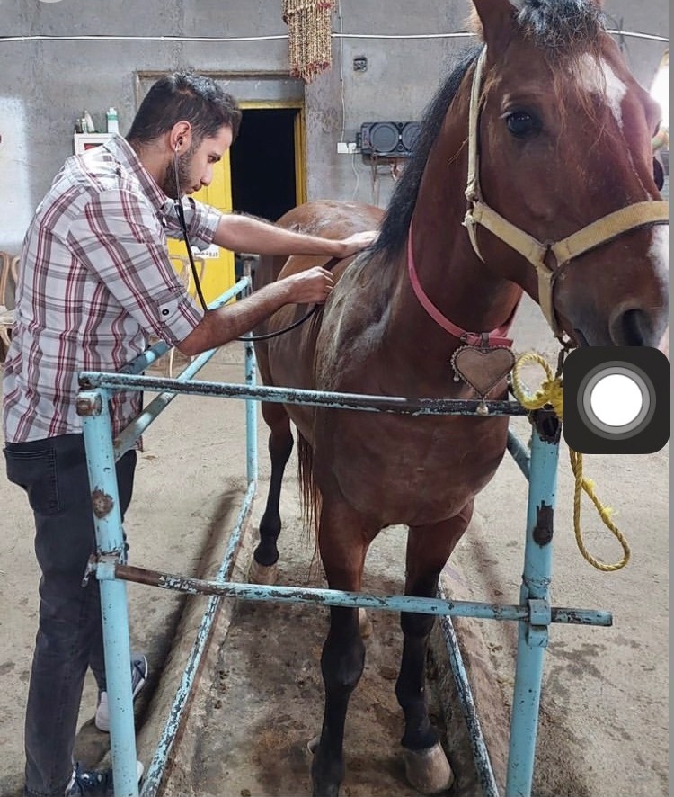 گفت وگو با محمدرضا موسوی؛پشتیبان برتر رشته تجربی