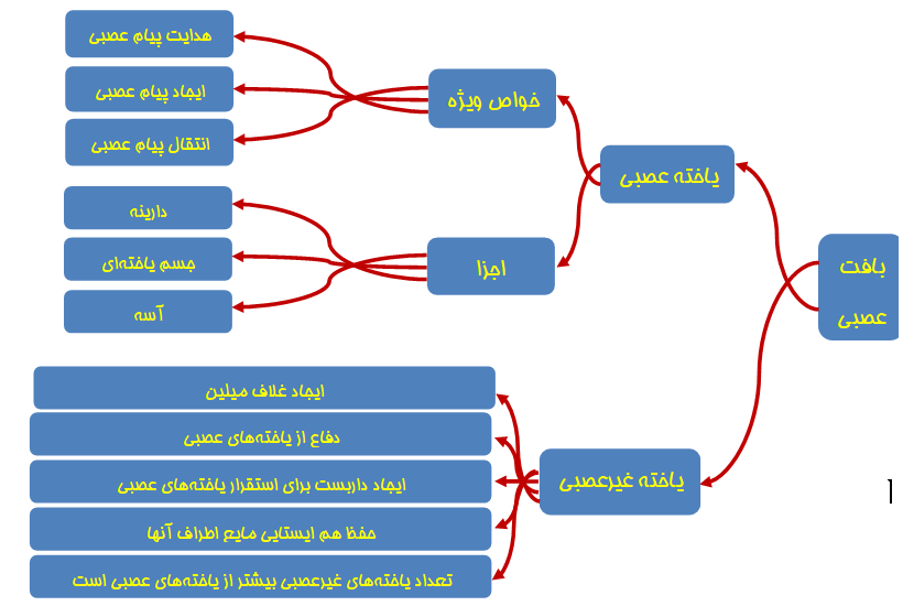 روز درس زیست‌شناسی یازدهم تجربی