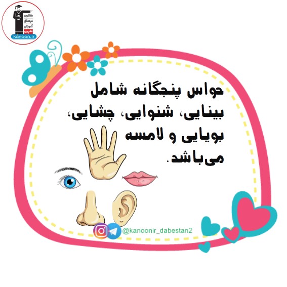 آموزش حواس پنجگانه - علوم دوم دبستان - فرخنده دشتی