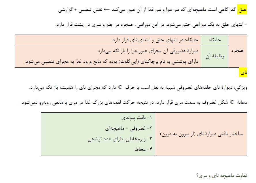 فصل 1 2 3 زیست دهم - فاطمه صمدی -درسنامه - بخش دو