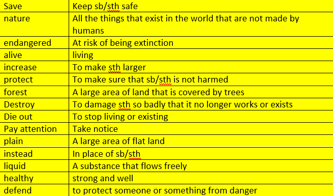 واژگان و گرامر درس 1- زبان دهم- سارا معصوم زاده