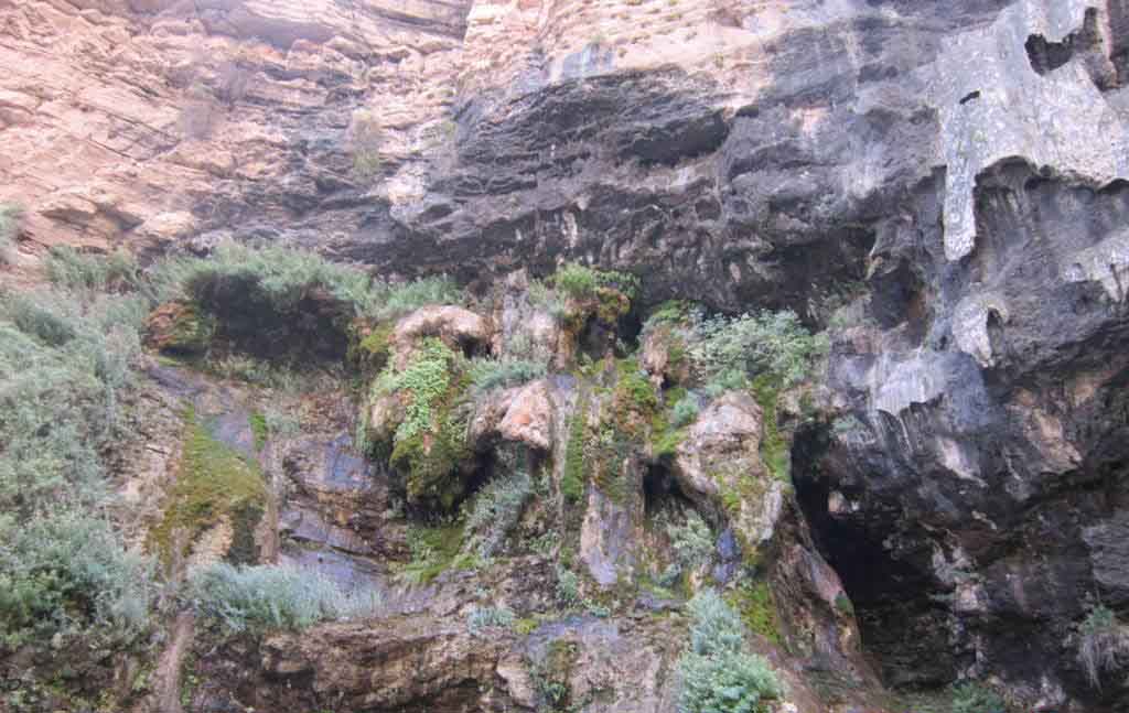 به شهر ما بیایید