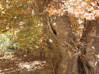 به شهر ما بیایید به شهر ما بیایید