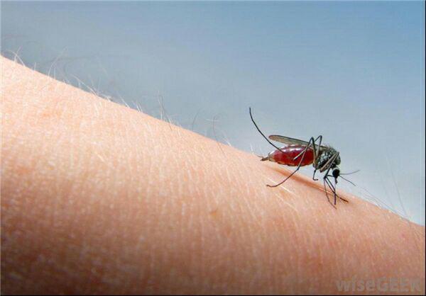 نشنال‌جئوگرافیک