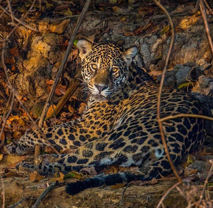 تصاویر جالب از نشنال جئوگرافیک