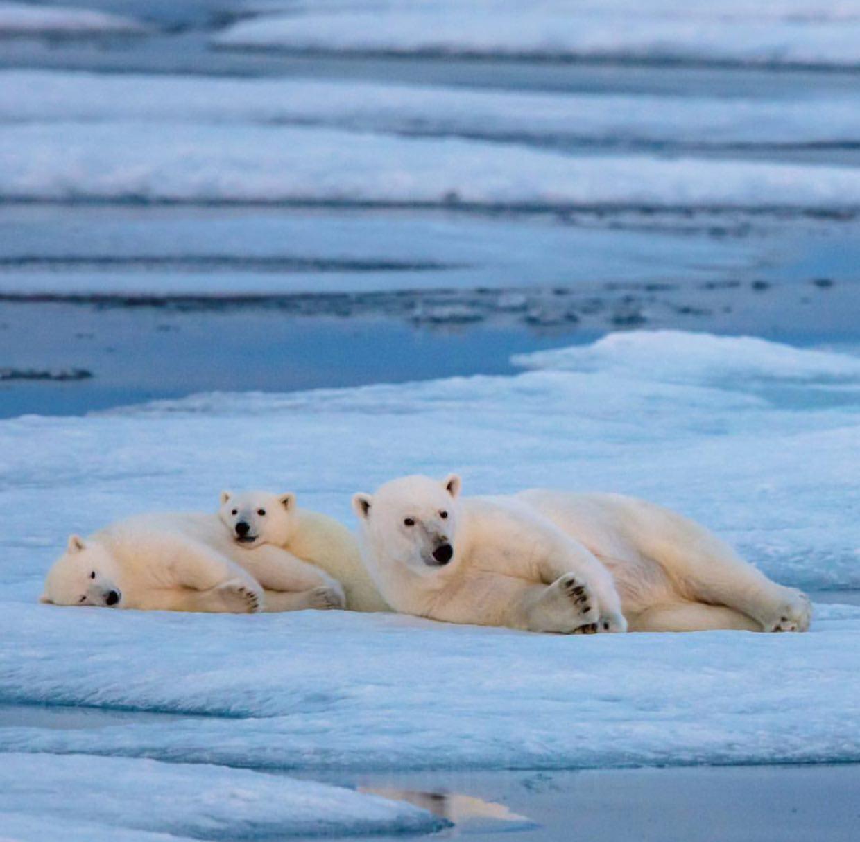 تصاویر جالب از نشنال جئوگرافیک