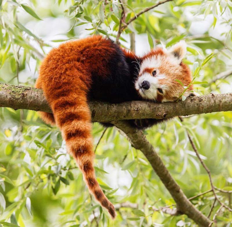 تصاویر جالب از نشنال جئوگرافیک