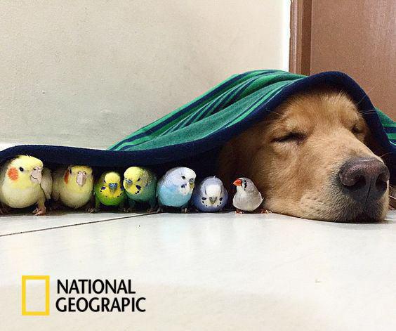 تصاویر جالب از نشنال جئوگرافیک 