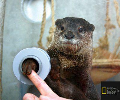 تصاویر جالب از نشنال جئوگرافیک 