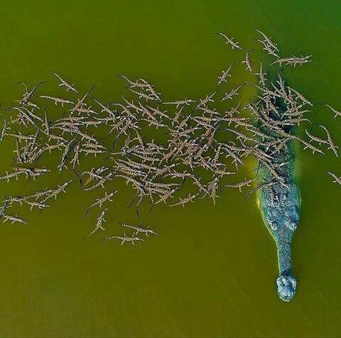 تصاویر جالب از نشنال جئوگرافیک