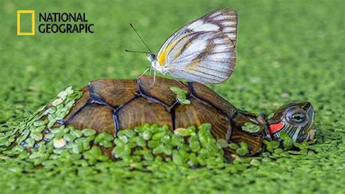 تصاویر جالب از نشنال جئوگرافیک