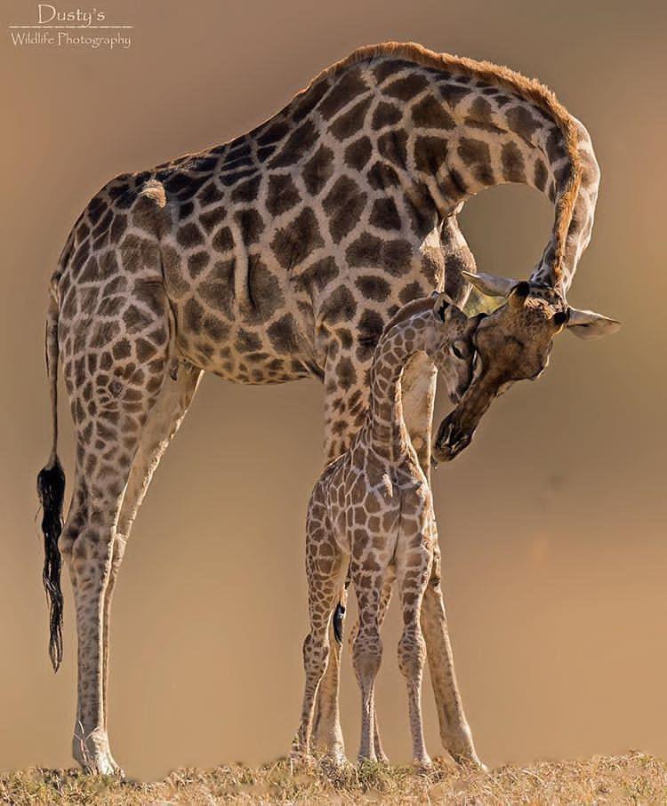 تصاویر جالب از نشنال جئوگرافیک