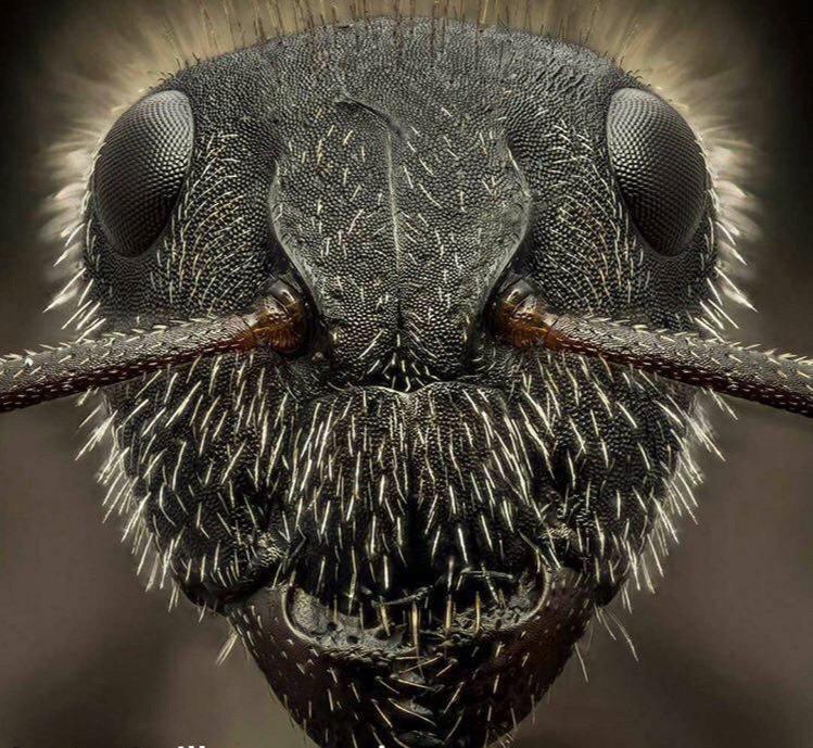 تصاویر جالب از نشنال جئوگرافیک