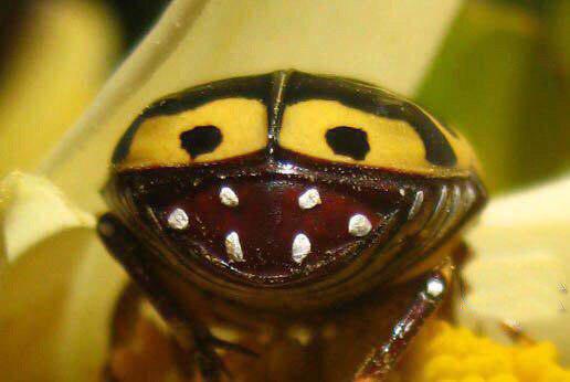 تصاویر جالب از نشنال جئوگرافیک