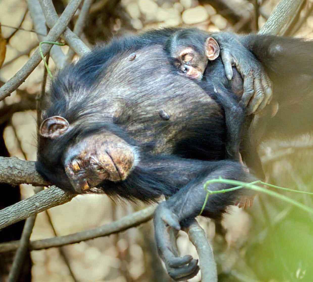 تصاویر جالب از نشنال جئوگرافیک