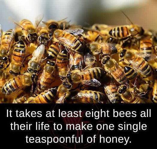 تصاویر جالب از نشنال جئوگرافیک