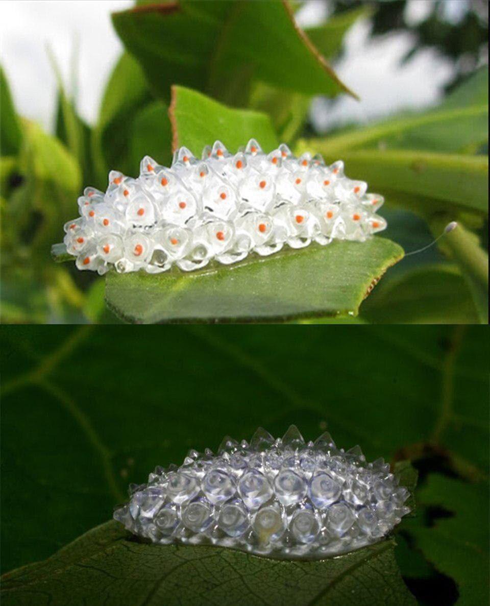 تصاویر جالب از نشنال جئوگرافیک