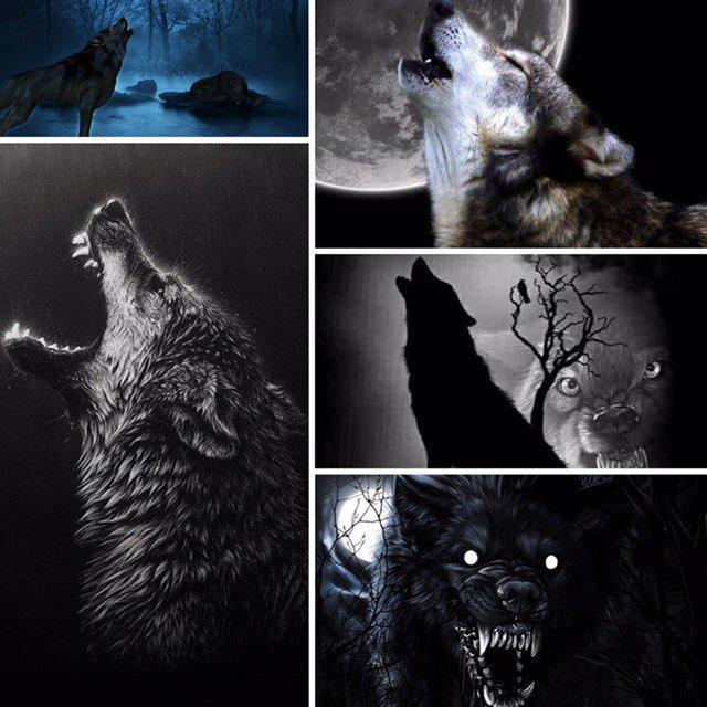 تصاویر جالب از نشنال‌جئوگرافیک