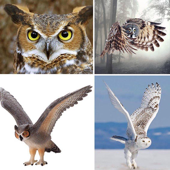 تصاویر جالب از نشنال‌جئوگرافیک