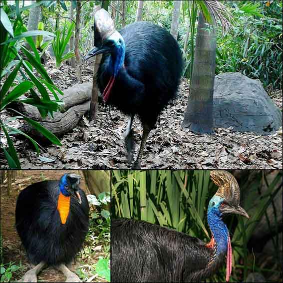 تصاویر جالب از نشنال‌جئوگرافیک