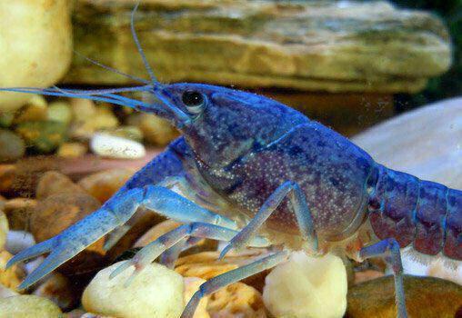 تصاویر جالب از نشنال‌جئوگرافیک