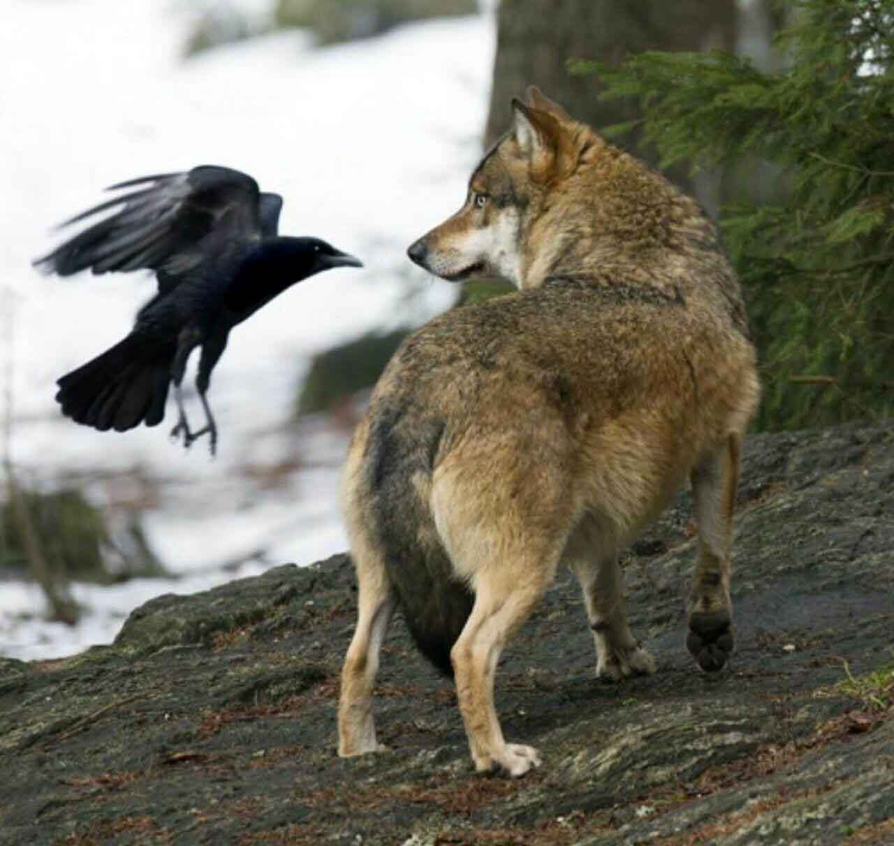 تصاویر جالب از نشنال‌جئوگرافیک