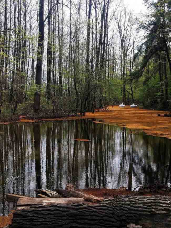 به شهر ما بیایید - پارک جنگلی سراوان به شهر ما بیایید - پارک جنگلی سراوان