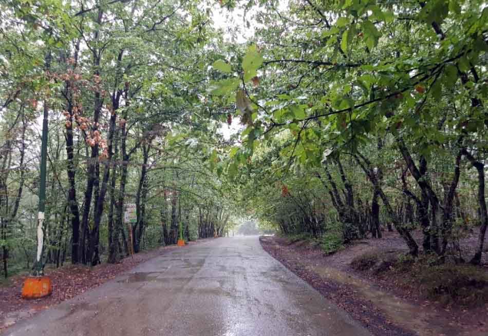 به شهر ما بیایید - پارک جنگلی سراوان به شهر ما بیایید - پارک جنگلی سراوان