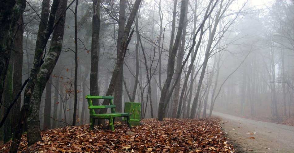 به شهر ما بیایید - پارک جنگلی سراوان به شهر ما بیایید - پارک جنگلی سراوان