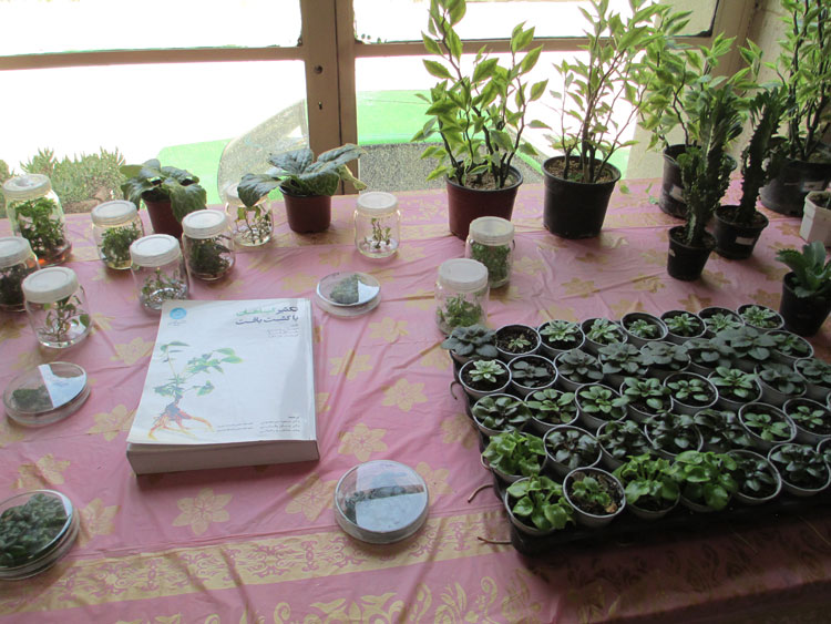 روز باز دانشگاه تهران