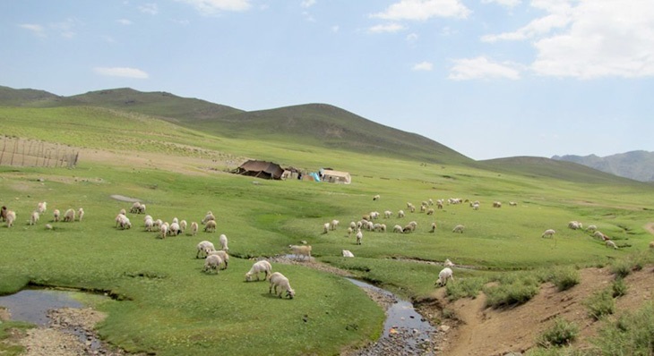 به شهر ما بیایید - زمستان در خرماپزانِ بندر هنزا در رابر کرمان به شهر ما بیایید - زمستان در خرماپزانِ بندر هنزا در رابر کرمان